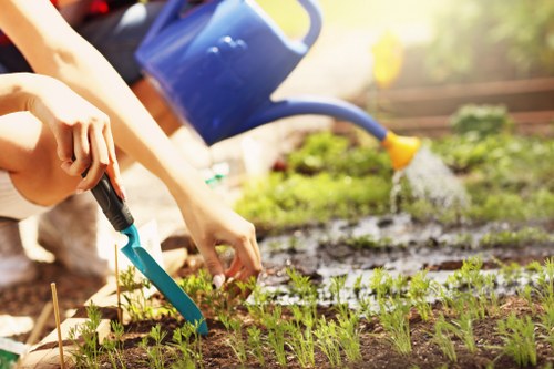 The image depicts a gardener working in a well-maintained outdoor garden in Leytonstone, showing a close-up view of a person wearing a beige sleeve, using a small blue trowel to tend to a neat flower bed with young green plants. In the background, a blue watering can is being used to water a patch of rich, dark soil with visible greenery, possibly herbs or seedlings, alongside a section of grass or lawn area. The garden layout includes a variety of textures, from the soft, dense grass to the orderly flower bed bordered with wooden sticks, suggesting careful planning and maintenance typical of professional landscaping services offered by Landscapers Leytonstone. The scene is illuminated by natural sunlight with slight shadows indicating mild weather conditions, highlighting the vibrancy of the healthy new plant growth. This outdoor space reflects the care and attention to detail involved in garden landscaping and lawn care, aligning with local gardening trends and environment, and providing visual context for professional gardening services available in Leytonstone and surrounding areas.