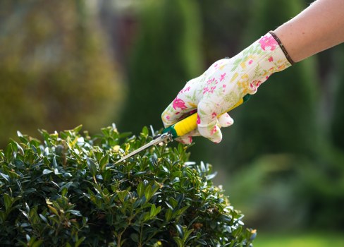 Professionals performing garden clearance in Leytonstone