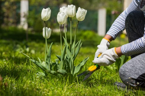 A gardener, wearing striped long-sleeve clothing and white gardening gloves, is kneeling on a well-maintained grassy lawn in a garden in Leytonstone. They are using a small hand trowel to carefully tend to a cluster of white tulips with tall green stems and broad leaves. Behind the tulips, there is a neatly edged flower bed bordered by dark soil, with additional greenery and shrubs visible in the background. The outdoor space appears lush and vibrant, with natural sunlight illuminating the scene, suggesting a mild, clear day. The garden features a mix of cultivated plantings and open grassy areas, reflecting professional landscaping and gardening services typical of a residential garden in Leytonstone, where local expertise by Landscapers Leytonstone might support such detailed planting and lawn care activities. This image exemplifies attention to garden detail, maintaining healthy plant growth and vibrant natural tones, aligning with the company's gardening and outdoor maintenance offerings in East London. The environment is quiet and well-kept, highlighting a typical scene of outdoor garden upkeep and plant care.