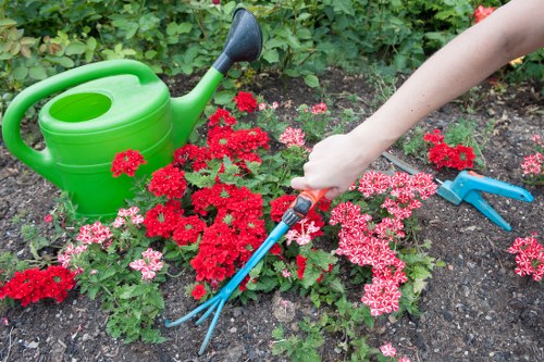 A garden scene featuring a colorful mix of red and pink flowering plants in a flower bed with dark, moist soil. In the foreground, a person's hand is visible, using a small gardening fork with a red and black handle to tend the plants. To the left, a bright green plastic watering can is placed on the ground, partially surrounded by the flowers. The garden is lush and well-maintained, with green shrubbery and foliage in the background, suggesting a healthy outdoor space suitable for general gardening and landscaping services as offered by Landscapers Leytonstone. The scene is captured during daylight hours, with natural light highlighting the vibrant colors of the flowers and greenery, under a clear or lightly overcast sky typical of a pleasant spring or summer day in Leytonstone.