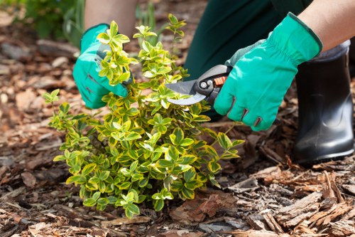 Landscapers Leytonstone team working safely on a garden clearance site