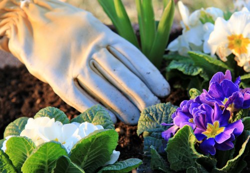 A close-up view of a gardener's hand, wearing a white gardening glove, gently tending to a vibrant flower bed in a Leytonstone outdoor garden. The bed features a mix of white, purple, and yellow flowering plants, with lush green leaves and well-maintained soil. In the background, there are additional green plants and foliage, indicating a well-kept landscaped yard. The scene is lit by natural daylight, suggesting a clear, sunny day, and highlights the healthy growth and variety of plants commonly found in garden care routines by Landscapers Leytonstone, a professional local gardening service in the area.