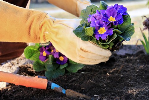 Seasonal gardening activities in Leytonstone