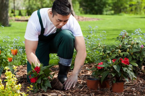 A gardener wearing a white T-shirt and dark green overalls is kneeling on a mulch bed in a lush, well-maintained garden in Leytonstone. He is carefully planting or tending to vibrant red poinsettia plants in small terracotta pots, which are surrounded by various other flowering shrubs and foliage. The background features a landscaped lawn with a neatly trimmed hedge and mature trees, creating a peaceful outdoor environment. The scene is illuminated by natural daylight, suggesting a clear, pleasant day suitable for gardening activities. The garden's layout includes a planted bed with healthy, dense plants, contrasting with the surrounding bright green grass and trees, and the setting is indicative of professional gardening and landscaping services provided by Landscapers Leytonstone.