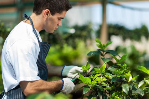 A young male gardener wearing a white t-shirt, blue apron, and white gardening gloves tending to green foliage in an outdoor garden space. The garden features well-maintained plants with vibrant green leaves, arranged along a landscaped boundary. In the background, there are more lush plants, a partially visible greenhouse structure, and natural sunlight filtering through, indicating a bright, airy environment. The scene captures the attention to detail in garden maintenance, highlighting pruning or planting activities typical of professional gardening services offered by Landscapers Leytonstone in the local area, contributing to the overall aesthetic and health of the outdoor space.