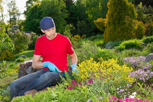 Eco-friendly tree removal practices in Leytonstone