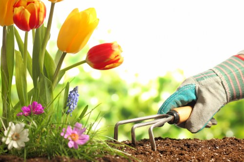Eco-friendly irrigation system installed in a residential garden