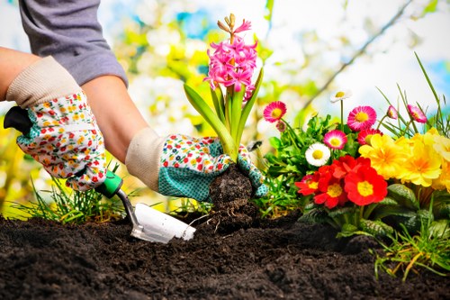 A person wearing gardening gloves is planting a pink hyacinth flower into dark, moist soil in a garden bed. The garden features a variety of colorful flowers, including red, yellow, white, and pink blossoms, arranged in a flower bed beside the planting area. In the background, there are blurred green foliage and trees, indicating a well-maintained outdoor space on a bright, sunny day. The scene captures an organized garden with a mix of flowering plants and lush greenery, reflecting typical gardening activities in Leytonstone, with natural light enhancing the vibrant colors and textures of the plants and soil. The image highlights careful planting and garden maintenance, relevant to professional gardening and landscaping services provided by Landscapers Leytonstone.