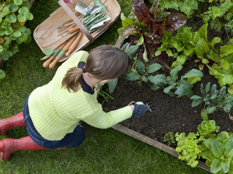 Sustainable landscaping practices in Leytonstone