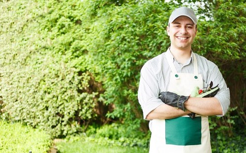 A young male gardener with a friendly smile, wearing a light grey cap, striped shirt, and green gardening apron, stands outdoors in a landscaped garden near Leytonstone. He holds a pair of garden shears and gloves in his arms, with neatly trimmed green hedges and lush bushes in the background. The garden features a well-maintained lawn with evenly cut grass, bordered by flower beds and a paved pathway. Sunlight filters through the trees, illuminating the natural tones of the plants and the gardener's attire. The scene captures a professional outdoor environment, highlighting the maintenance and gardening services provided by Landscapers Leytonstone, with the garden presenting a tidy, landscaped appearance typical of residential outdoor spaces in Leytonstone, London.