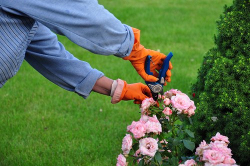 Professional landscapers working on a garden design project
