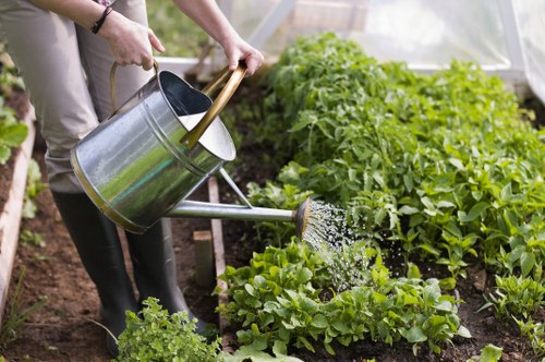 A gardener's hands are visible holding a metal watering can with a wooden handle, pouring water onto a lush, green vegetable bed in a backyard garden. The vegetable bed contains various leafy greens, such as lettuce and possibly spinach, with dense, vibrant foliage. Surrounding the garden space are dark, fertile soil beds, bordered by wooden planks, indicating a well-maintained vegetable patch. In the background, more leafy plants and shrubs grow, with natural daylight illuminating the scene, suggesting a bright, clear day suitable for outdoor gardening in Leytonstone. The setting reflects a typical residential garden layout focused on vegetable cultivation, aligned with professional gardening services provided by Landscapers Leytonstone, emphasizing garden maintenance and plant care.